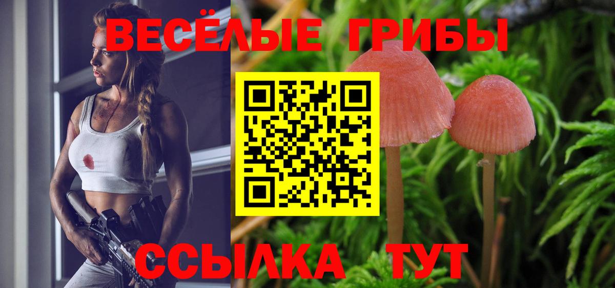 Димитровград  Галлюциногенные грибы Magic Shrooms  Вход с VPN 